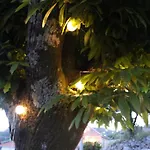 Lantställe Casas Da Li Arcos de Valdevez