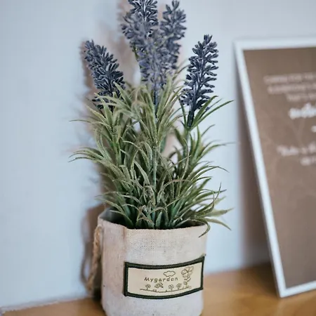 Casas Da Li Landhuis *