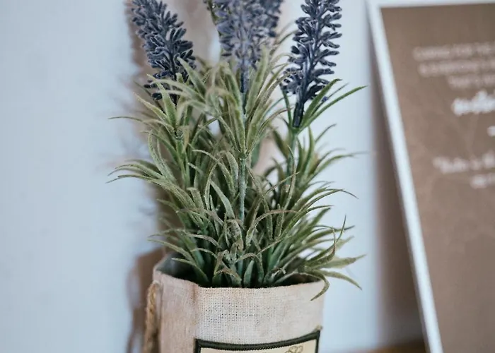 Casas Da Li カントリーハウス *