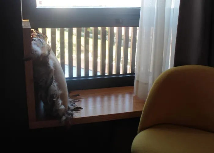 Casas Da Li Séjour à la campagne *